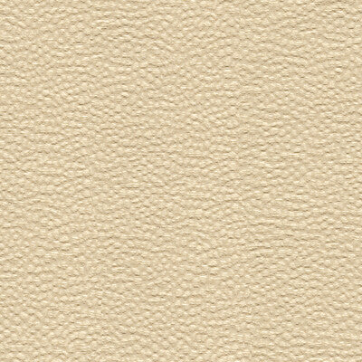 Whampoa Shell Upholstery Fabric by Kravet