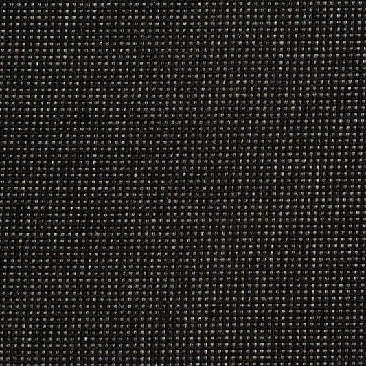 Avalon Coal