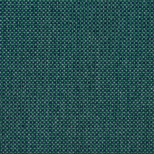 Avalon Evergreen
